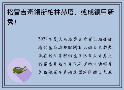格雷吉奇领衔柏林赫塔，或成德甲新秀！