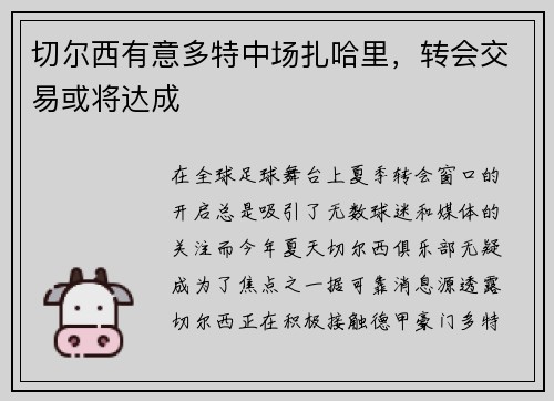 切尔西有意多特中场扎哈里，转会交易或将达成